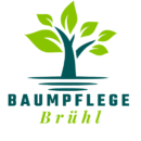 Baumpflege Brühl